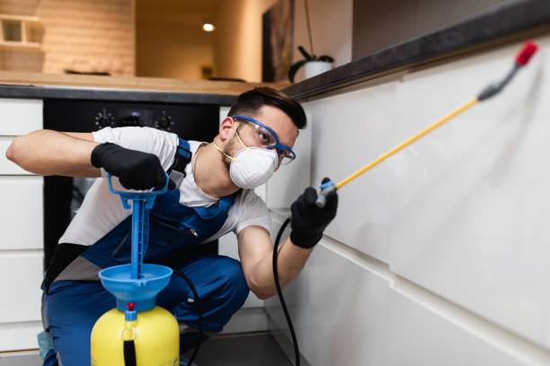 Flea Control Services in Woodville, TX