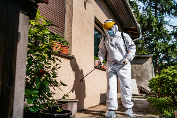 Best Residential Pest Control  in Woodville, TX