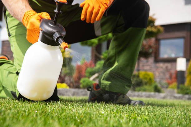 Best Affordable Pest Control Services  in Woodville, TX