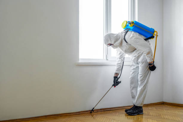 Best Insect Control  in Woodville, TX