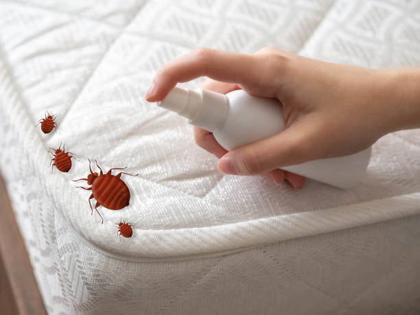 Reliable Woodville, TX Pest Control Solutions