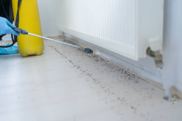 Best Best Pest Control Companies  in Woodville, TX